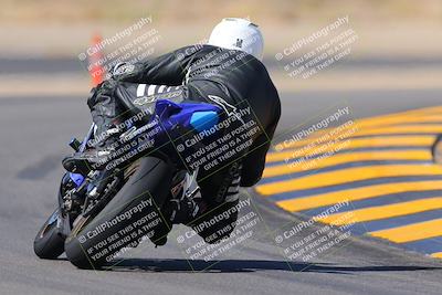 media/Oct-08-2022-SoCal Trackdays (Sat) [[1fc3beec89]]/Turn 11 Backside (1145am)/